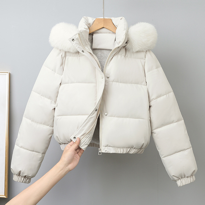 Winter Short Parkas Women's Co - Wool Coat Peacoat recension och pris